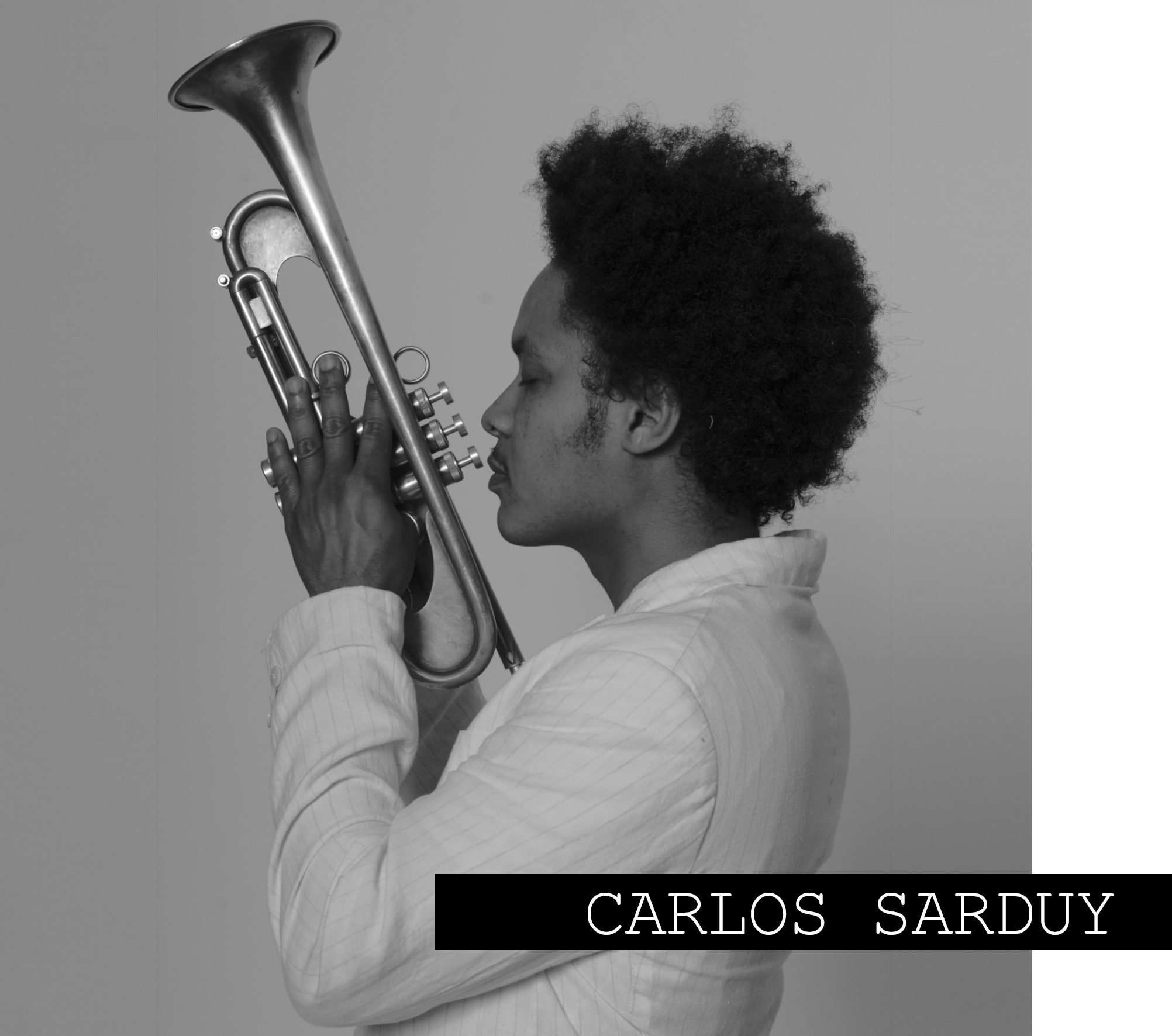 CARLOS-SARDUY home