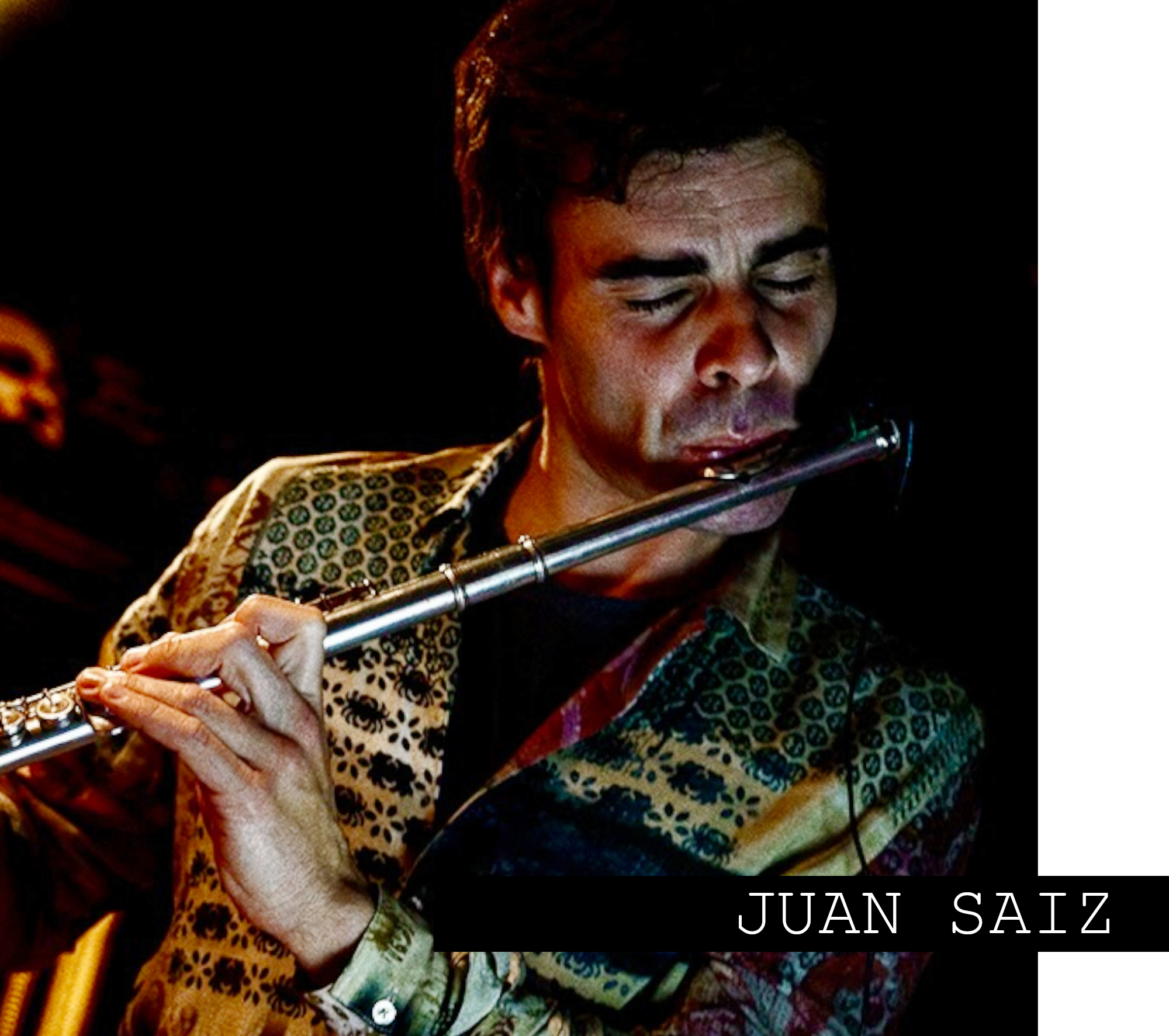 JUAN SAIZ home