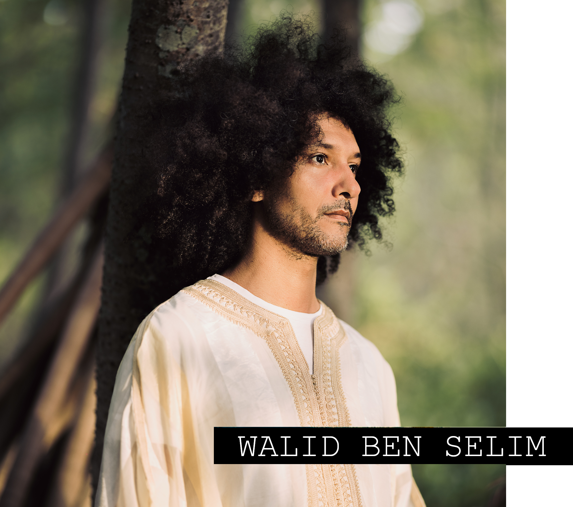 WALID BEN SELIM home